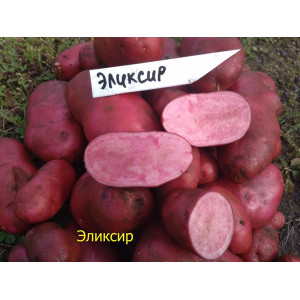 Картофель семена Эликсир розовая мякоть 10 шт