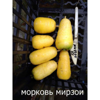 Желтая морковь Мирзои, тупоносая, 50 семян