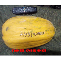 Тыква Кувшинка 5 шт