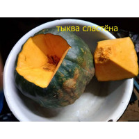 Тыква Сластёна. 3 шт