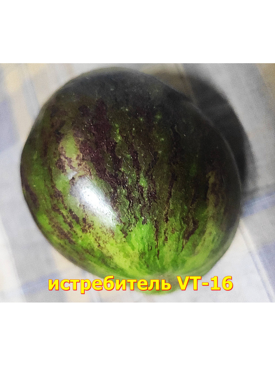 Томат "Истребитель мятежный звёздный VT-16" сердцевид. 300 гр. 5 шт. Томат "Истребитель мятежный звёздный VT-16" сердцевид. 300 гр. 5 шт.