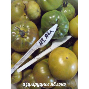 Томат "Изумрудное яблоко" индетерминантный, зеленый до 400 гр