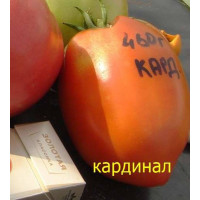 Томат "Кардинал" индетерминантный, тём.красный до 400 гр