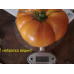 Томат "Небраска Веддинг" индетерминантный, оранж до 1 кг