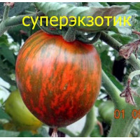 Томат "Суперзкзотик", индет, краснЫЙ. с зел. штрихами 80гр 5 шт