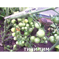 Томат "Тини Тим" детерминантный, красный 5 шт