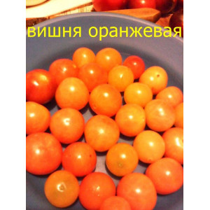 Томат "Вишня оранжевая", индетерминантный 20 гр