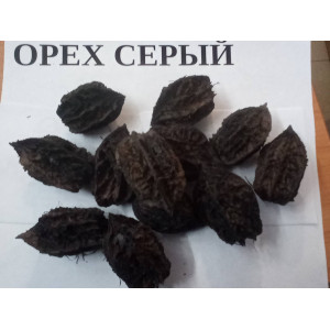 Орех серый 6 м 3 шт ОРЕХИ 50 руб Орех серый 6 м 3 шт ОРЕХИ 50 руб